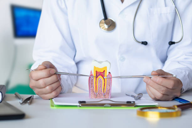 Best Emergency Treatment for Toothache in Wescosville, PA
